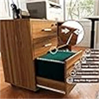 Classeur en bois - 15,75 po P x 31,69 po L x 26,29 po H